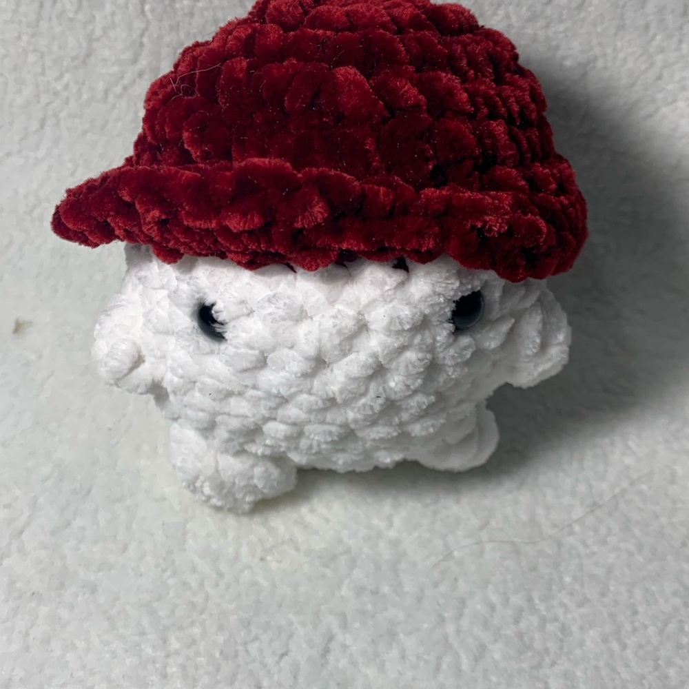 Crochet Mushroom with Red Hat